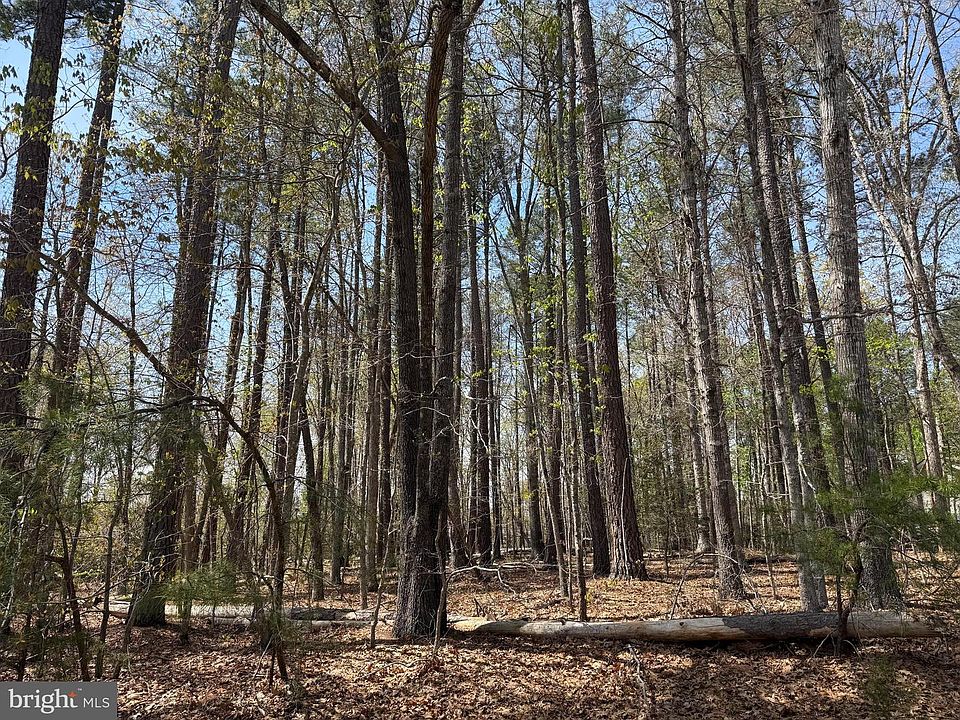 1st image of Windwood Coves Blvd