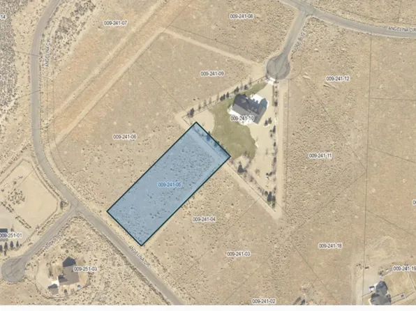 180 Angelina Cir, Smith, NV 89444