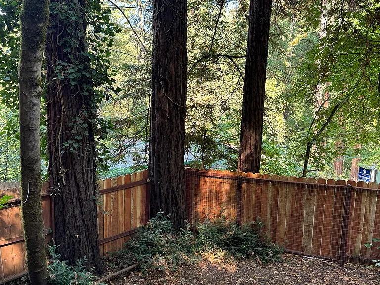 148 Sequoia Ave — Photo 4