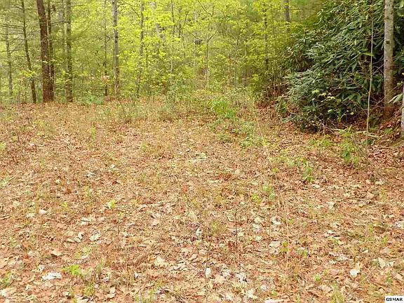 2nd image of 44 Jefferson Rd Lot 44