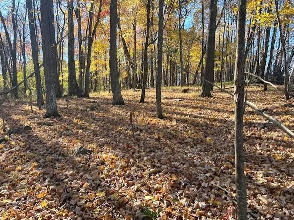 32.18 acres Monarch Avenue #3, Kendall, WI 54638