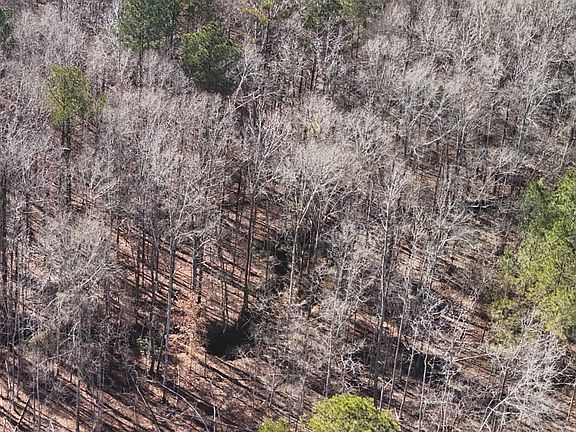 2nd image of 0 Tree Farm Rd