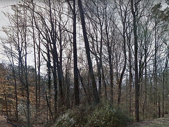 2nd image of 0 Greenwood Ave