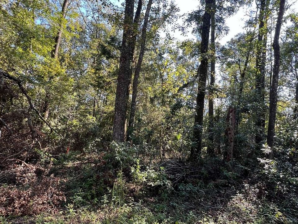 2nd image of 290th Ter Lot 6