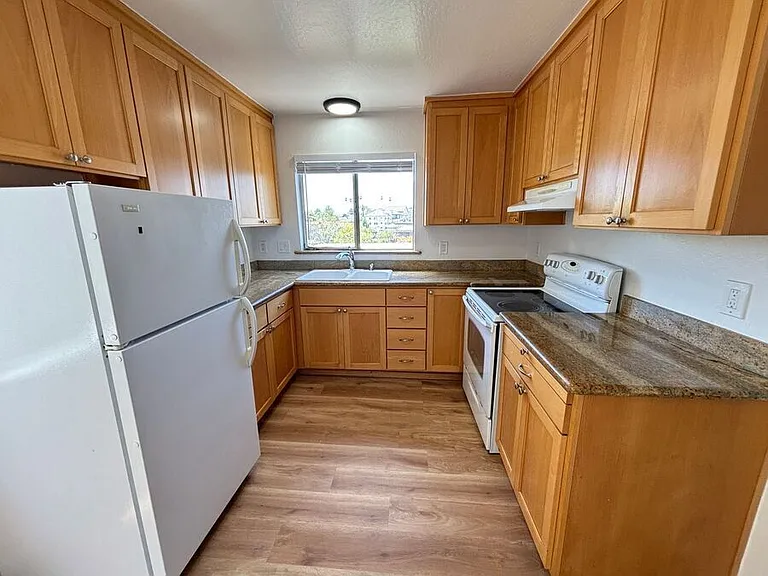 210 Athol Ave #10 — Photo 6