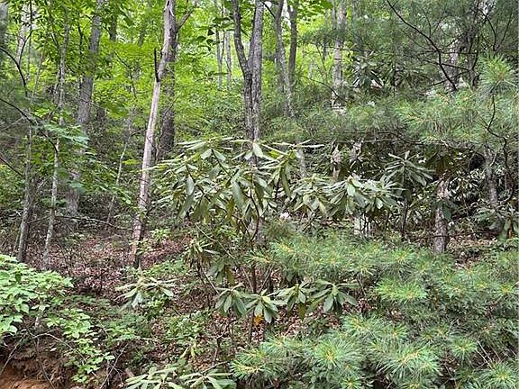2nd image of Tbd South Carolina Ter