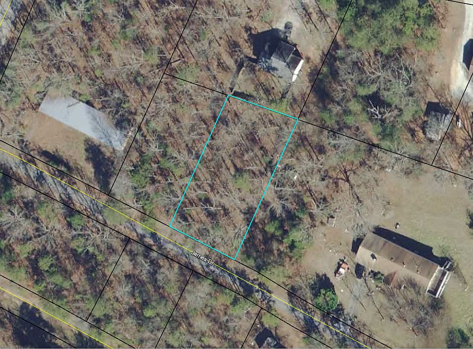 1st image of Piney Woods Est