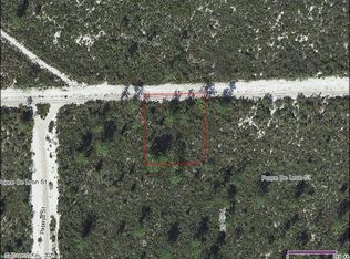1034 Ponce De Leon St, Lake Placid, FL 33852