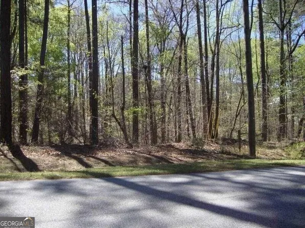 2515 Slater Mill Rd, Douglasville, GA 30135