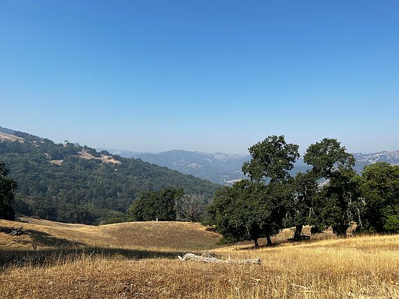 5th image of 1231 Island Mountain Ridge Rd