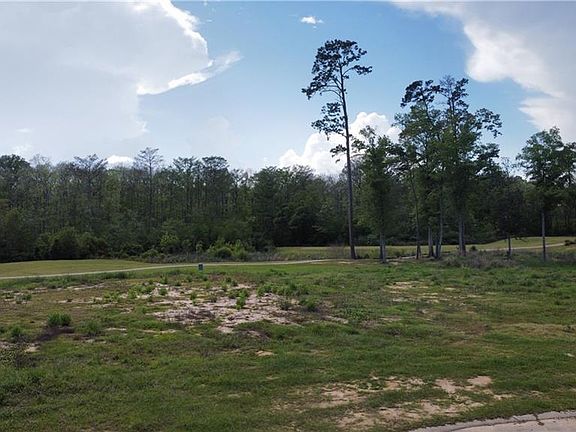 2nd image of Cypress Cv