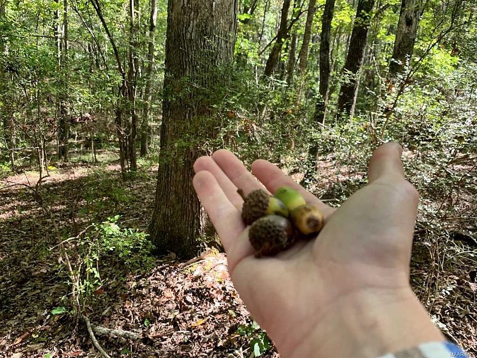 0 Weoka Rd, Wetumpka, AL 36092 Zillow