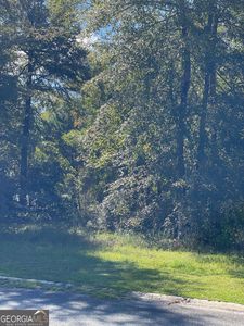 0 Saddle Cir, Waycross, GA, 31503