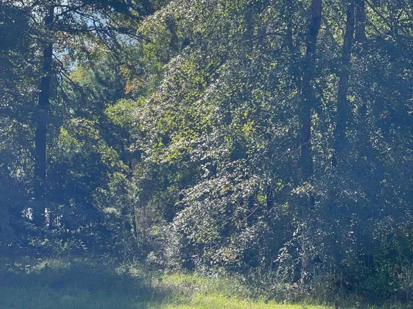 0 Saddle Cir, Waycross, GA 31503