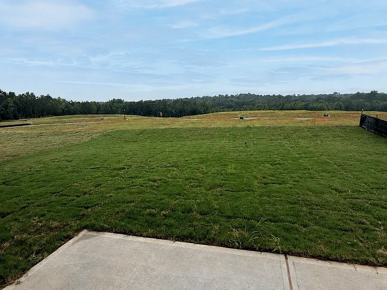 Beautiful backyard view