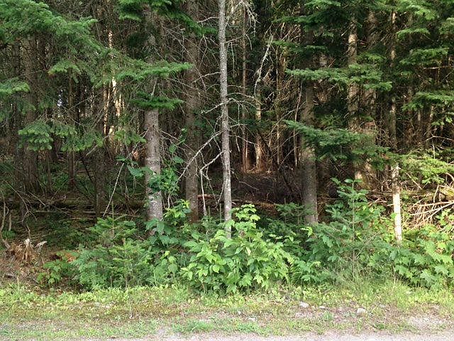 2nd image of 5 Stevens Rd