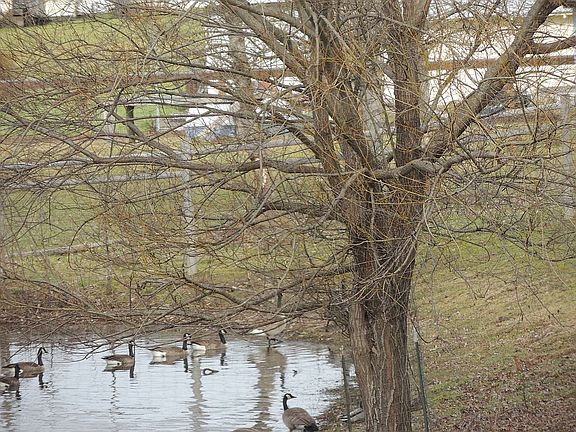 Smaller, year-round pond