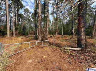 65/TRACT W Market Street Ext, Cheraw, SC 29520