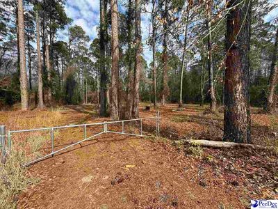 65/TRACT W Market Street Ext, Cheraw, SC, 29520