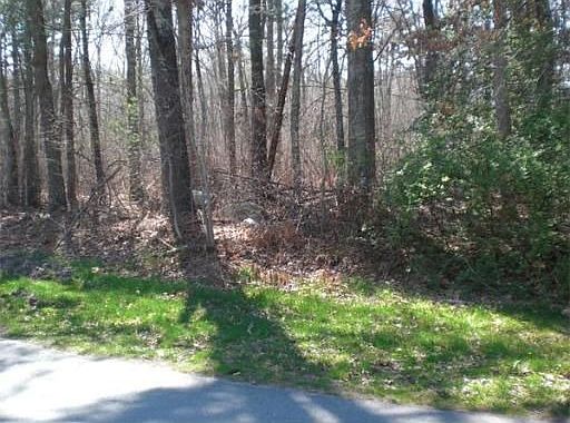 2nd image of 12 Marion Rd