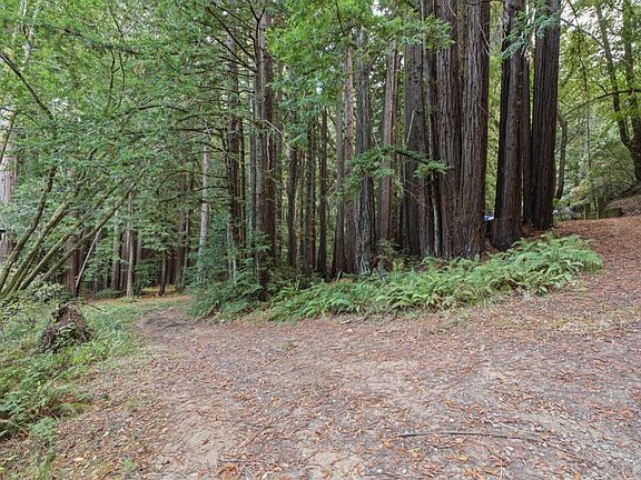 4th image of 1355 Nicasio Valley Road
