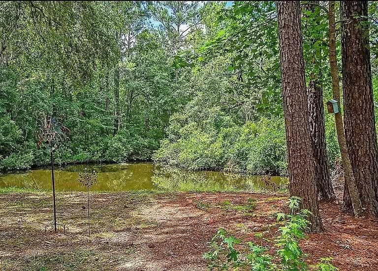 Pond out Back