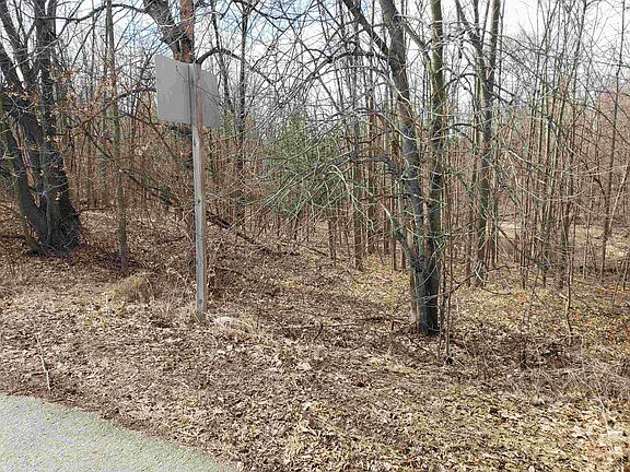 2nd image of Bialozynski Rd #1