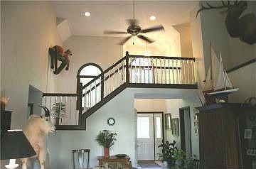 4th image of 701 Highland Hills Dr