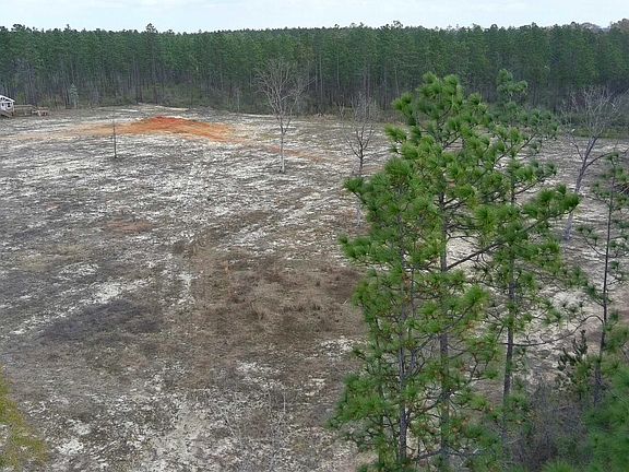 4th image of LOT 1 Paul Rd