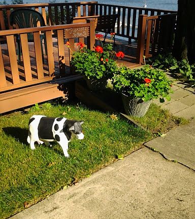 Yacht Club far shore