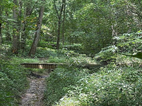 Creek w/ 2 Bridges