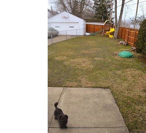 4th image of 1516 Curry Dr