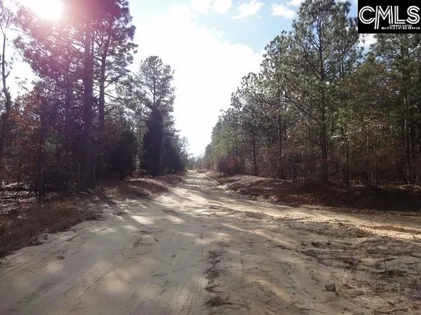 337 Big Hickory Ln, Gaston, SC 29053