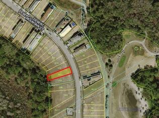 908 Desert Mountain Ct, Reunion, FL 34747