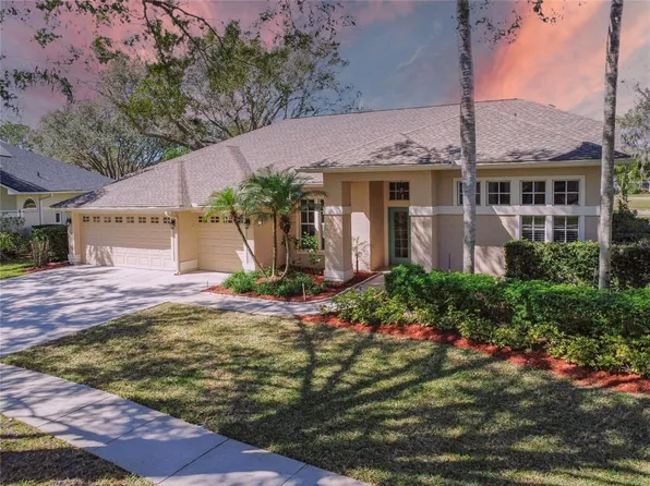 3824 Spruce Pine Dr, Valrico, FL 33596