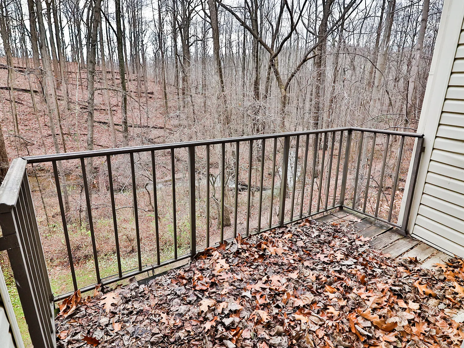 10488 Parthenon Court - 1 — Photo 2