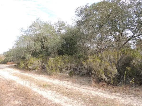 6691 NE 112th Ave #1, Williston, FL 32696