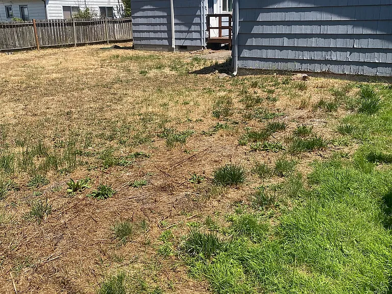 1524 Wilson Ct — Photo 17