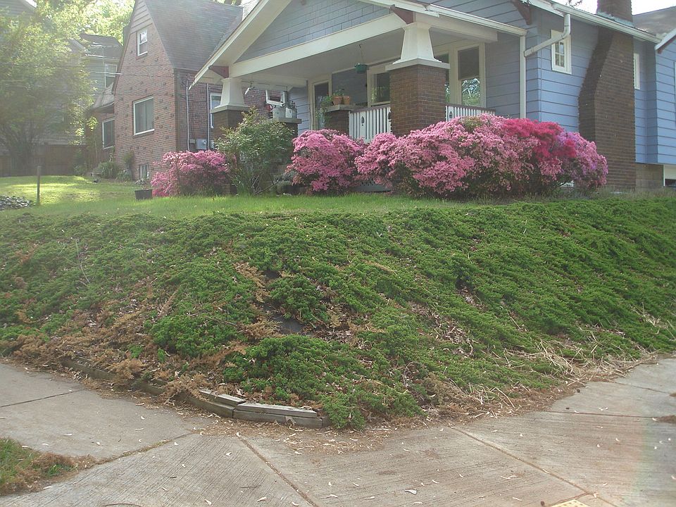 7722 Carroll Ave in Spring