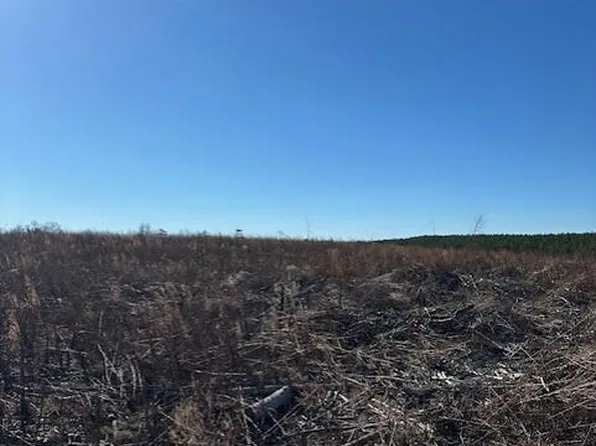 4 50th Ave Tract 4, Gruetli Laager, TN 37339