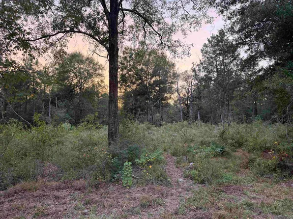 Rl9b Phillip Richardson Rd, Holden, LA 70744