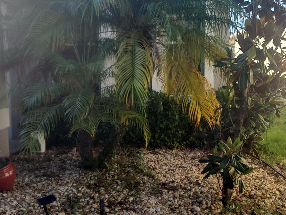 2nd image of 7018 Blue Beech Dr #7018
