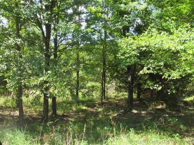 0 N 4710th Rd, Watts OK - Owner Finance Home