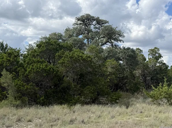 233 ROSINWEED DR LOT 1415, Spring Branch, TX 78070