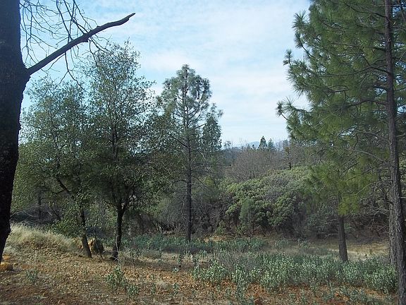 3rd image of Seaman Gulch Apn #97-120-013
