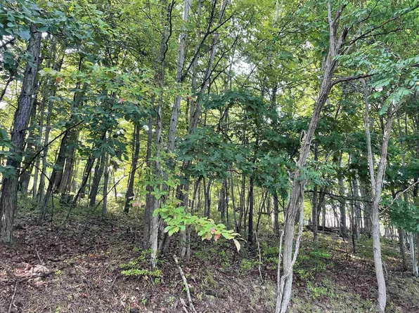 Chinquapin Dr, Lyndhurst, VA 22952