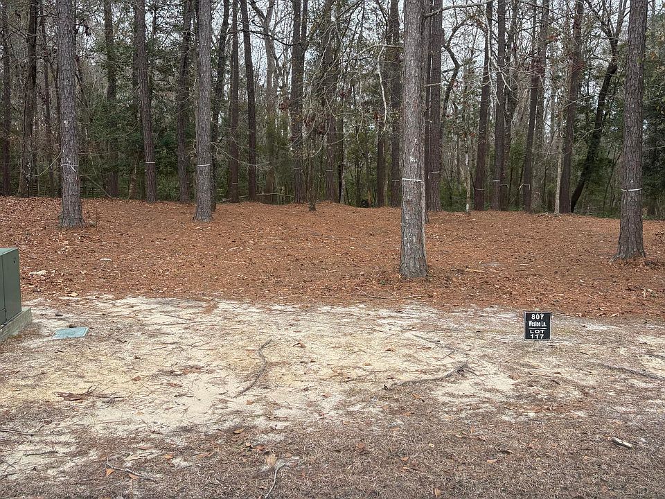 1st image of 807 Weston Lane SE
