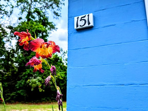 151 Good Springs Road