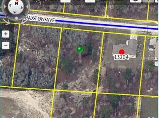 13194 Paxton Ave, Weeki Wachee, FL 34614