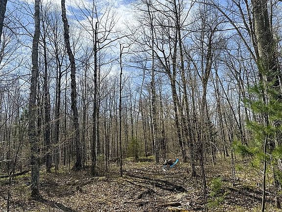 3rd image of 1 Log Lodge Rd